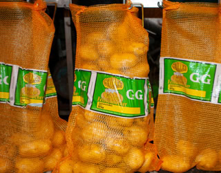 Drei Säcke mit Kartoffeln in orangefarbenen Netzen, mit grünen Etiketten versehen.