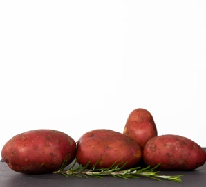 rote Kartoffeln auf einem schwarzen Schieferbrett liegend, davor ein Zweig Rosmarin