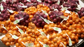 Netze mit roten und gelben Zwiebeln auf einem Tisch.